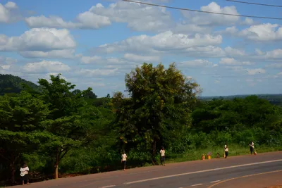 DSC_9703 (Large).JPG